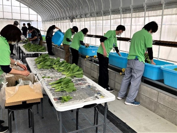出荷時は本社従業員もお手伝いの写真
